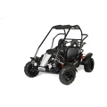 off Road 2seat 4stroke Rental Go Kart with Brake System